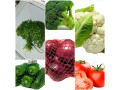 verduras-frescas-small-1