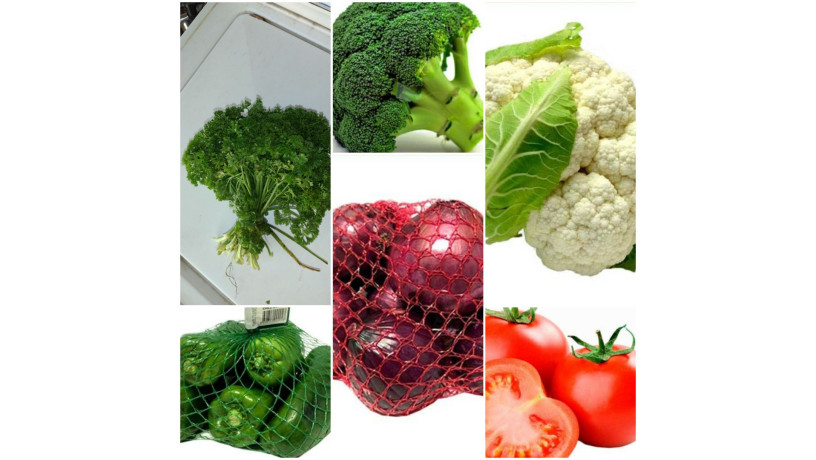 verduras-frescas-big-1