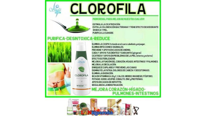 clorofila-liquida-natures-sunshine-big-2