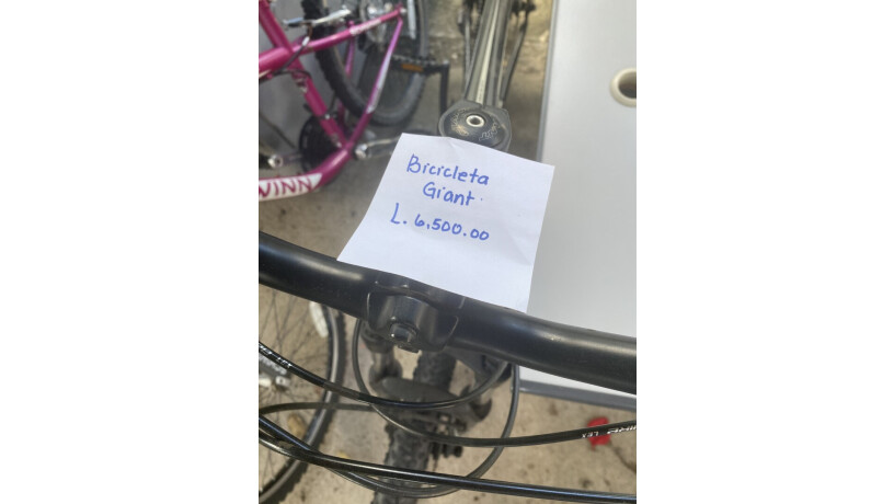 bicicletas-en-venta-big-1