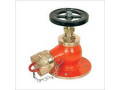 fire-hydrant-valves-in-kolkata-small-0